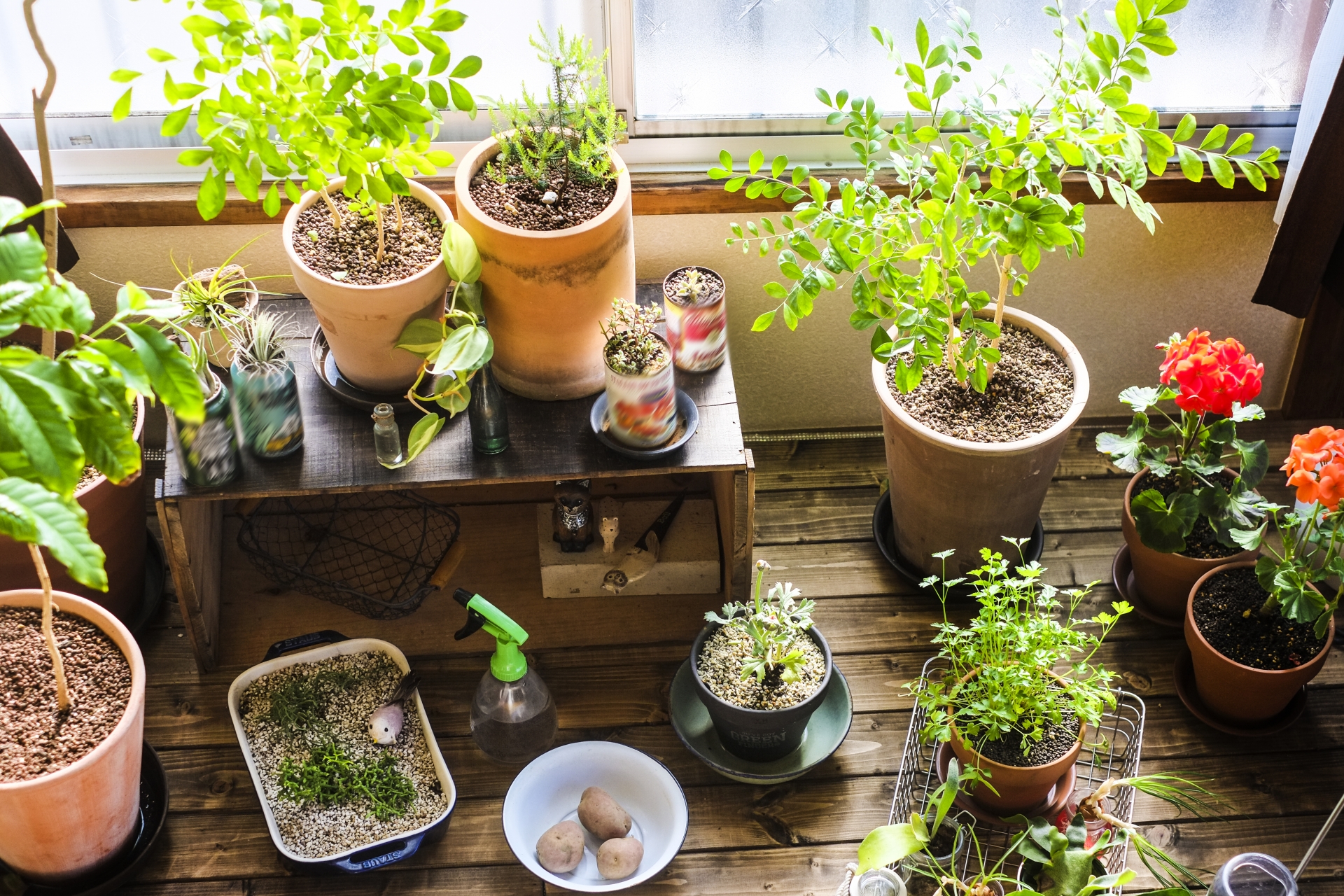 美味しい召し上がり方